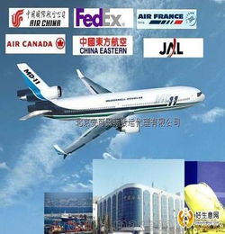 货运保险业务 其他商务服务