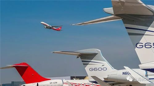 航空货运部东航空运-空运_上海林洛国际货物运输代理_天助网