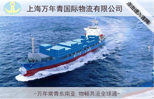 宁波至越南海运操作