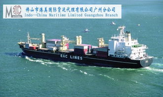 广州专线海运到新加坡门到门一条龙服务