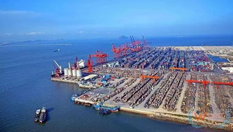 国际双清国际物流国际海运空运专线货之家国际出口专线