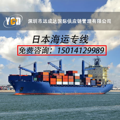 半程塑编报价 厂家