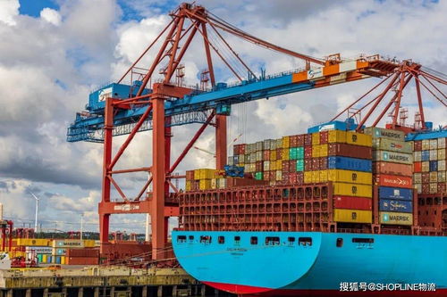 跨太平洋航线部署船舶数量激增40 福建新开放3个新建码头 跨境物流热点速递