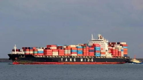 上海出口金泽国际空运货运代理报关