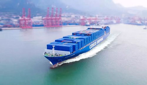 中远海运集团增持中远海控股份