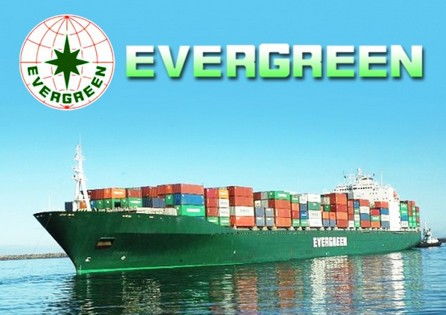推荐上海到摩洛哥基本港海运拼箱多少天,费用价格时效查询公司