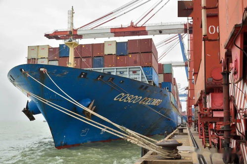 逆势突破 南沙打通出海物流新通道,广州港迎来第120条外贸班轮航线